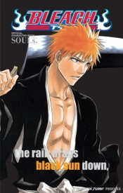 Bleach Souls. Official Character Book