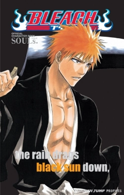 Bertrand.pt - Bleach Souls. Official Character Book