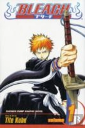 Bleach, Vol. 1
