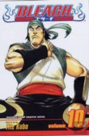 Bleach, Vol. 10