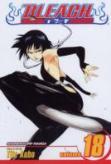 Bleach, Vol. 18