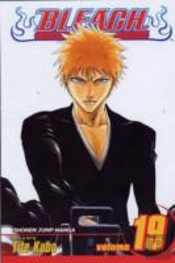 Bleach, Vol. 19