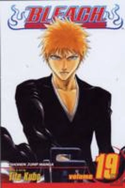 Bertrand.pt - Bleach, Vol. 19