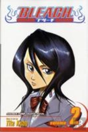 Bleach, Vol. 2