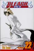 Bleach, Vol. 22