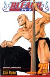 Bleach, Vol. 23