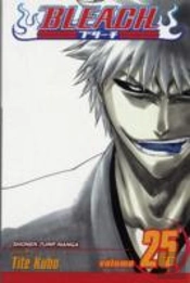Bleach, Vol. 25