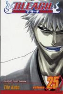 Bertrand.pt - Bleach, Vol. 25
