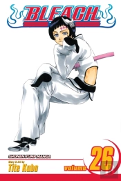 Bleach, Vol. 26