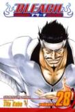 Bleach, Vol. 28