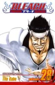 Bleach, Vol. 28