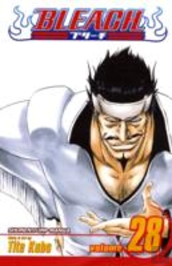 Bertrand.pt - Bleach, Vol. 28