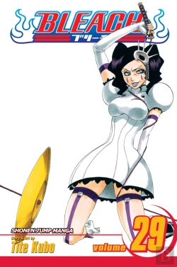 Bertrand.pt - Bleach, Vol. 29