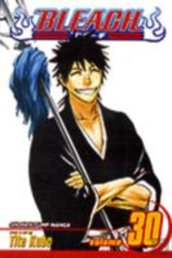 Bertrand.pt - Bleach, Vol. 30