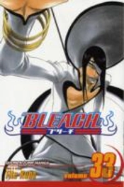 Bleach, Vol. 33