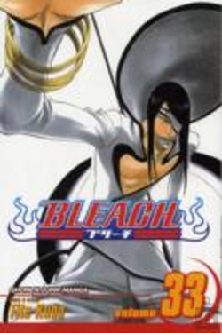 Bertrand.pt - Bleach, Vol. 33