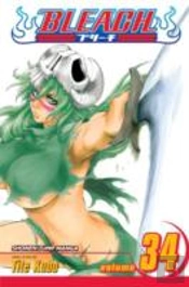 Bleach, Vol. 34