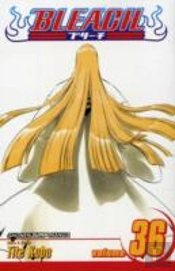 Bleach, Vol. 36