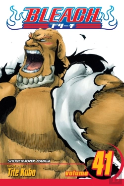 Bertrand.pt - Bleach, Vol. 41