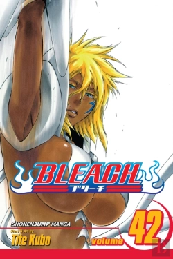 Bertrand.pt - Bleach, Vol. 42