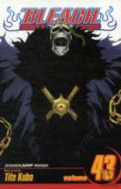 Bleach, Vol. 43
