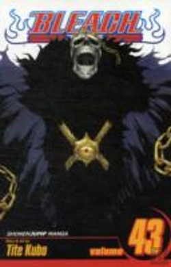Bertrand.pt - Bleach, Vol. 43