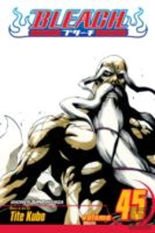 Bleach, Vol. 45