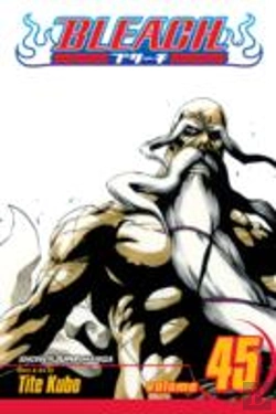 Bertrand.pt - Bleach, Vol. 45