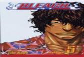 Bleach, Vol. 5