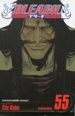 Bertrand.pt - Bleach, Vol. 55