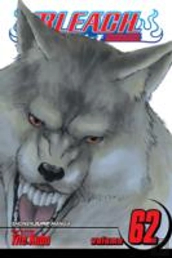 Bertrand.pt - Bleach, Vol. 62