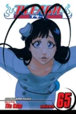 Bertrand.pt - Bleach, Vol. 65