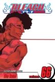 Bleach, Vol. 66