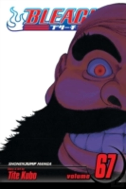 Bertrand.pt - Bleach, Vol. 67