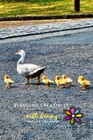 Blending Creativity With Caring