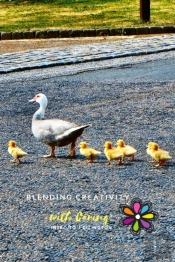 Blending Creativity With Caring