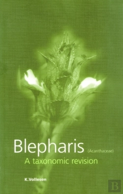 Bertrand.pt - Blepharis (Acanthaceae)