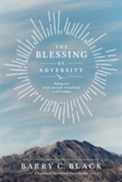 Blessing Of Adversity, The