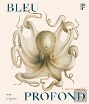 Bleu Profond : L'Océan Révélé
