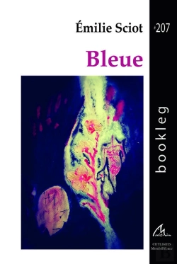 Bertrand.pt - Bleue