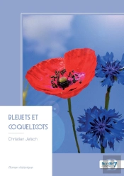 Bleuets Et Coquelicots