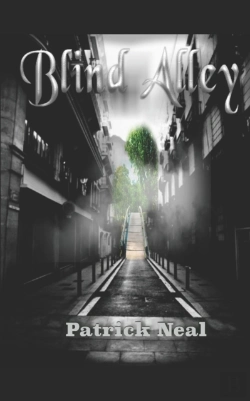 Bertrand.pt - Blind Alley