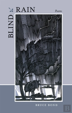 Bertrand.pt - Blind Rain