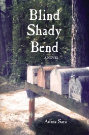 Blind Shady Bend A Novel