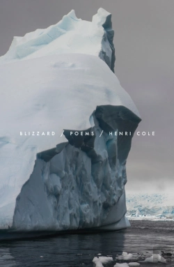 Bertrand.pt - Blizzard