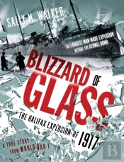 Blizzard Of Glass