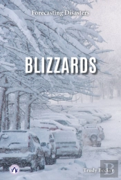Blizzards