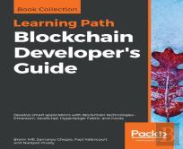 Blockchain Developer'S Guide