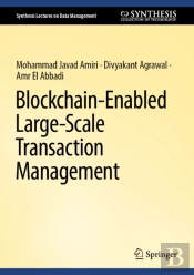 Blockchain-Enabled Large-Scale Transaction Management