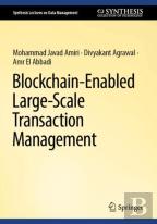 Blockchain-Enabled Large-Scale Transaction Management